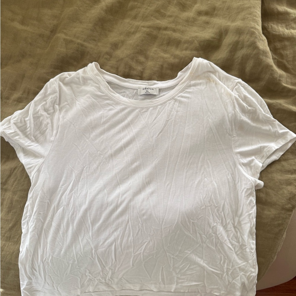 Aritzia Babaton Women's Top